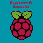 Raspberry Pi Examples アイコン