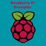 Raspberry Pi Examples icon