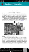 Raspberry Pi Examples imagem de tela 2