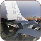 Real Flight 3D Simulator Zeichen