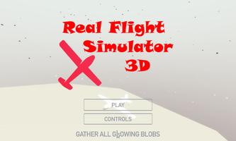 Real Flight 3D Simulator Affiche