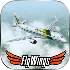 Weather Flight Sim Viewer APK 下載