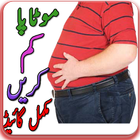 health tips urdu आइकन