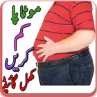 health tips urdu আইকন