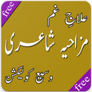 funny poetry in urdu APK