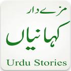 urdu stories book icône