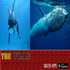 save whale APK