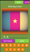 Flag It! Affiche