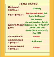 Thirumana Porutham Tamil स्क्रीनशॉट 3