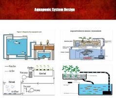 Aquaponic Hidroponic System Design capture d'écran 2