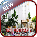 Best Indoor Plants APK