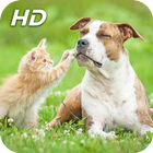 Pets Wallpapers - Dogs, Cats, Birds, Bunnies, 圖標