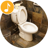 Toilet Flush Sounds icône