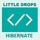 Learn Hibernate (Offline Docs) APK