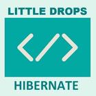 Learn Hibernate (Offline Docs) biểu tượng