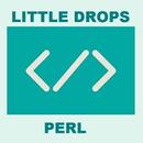 Perl Documentation-Learn Perl APK