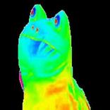 MLG Creation Station