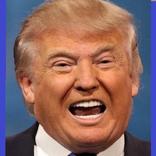 Trump Sound-Board