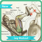 Leg Workout 圖標