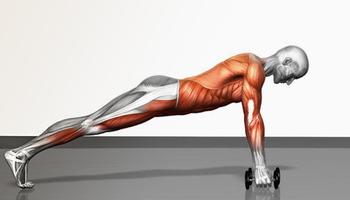 Poster Push Up Exercise