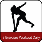 Daily Workout three Exercises icône