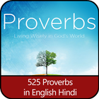Proverbs in English Hindi icône