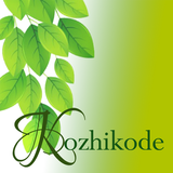 Kozhikode icône