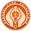 Vincentian congregation