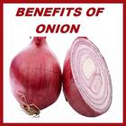 Onion Benefits ikona