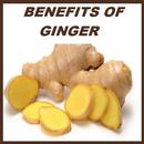 Ginger Benefits APK