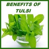 Tulsi Benefits capture d'écran 1