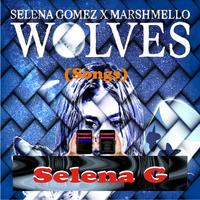 Wolves - Selena Gomez 海报