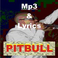 canciones - pitbull Affiche