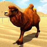 Wild Camel Racing Simulator icon