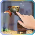 Goldfish Pet In Your Phone 3D