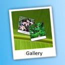 Gallery APK