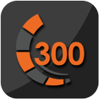 300 Pte icon