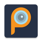 Picogram icon