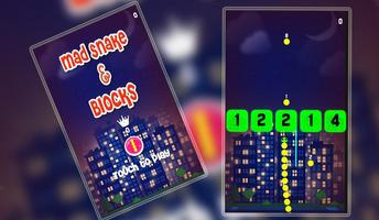 Mad Snake And Block poster