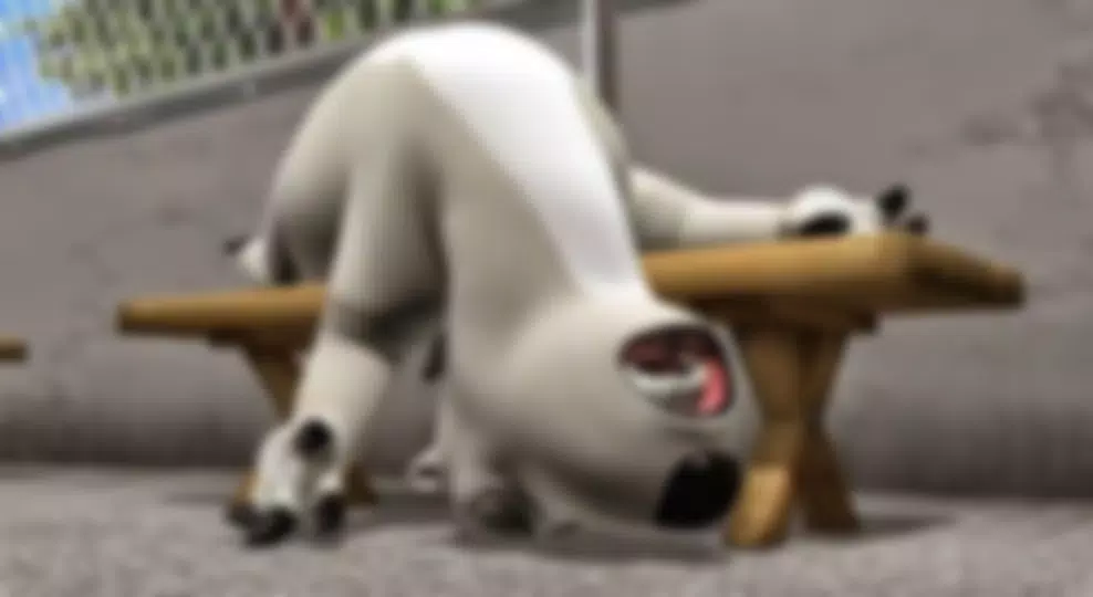 Top Bernard Bear Video APK for Android Download Top Bernard Bear Video APK for Android Download