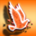 Fire Bird