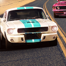 Real Race: Speed Cars & Fast R APK