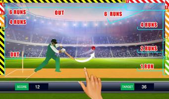 World T10 Cricket Premier League 3D capture d'écran 1