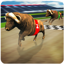 bực bội Con bò cuộc đua APK
