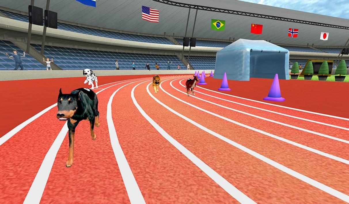 Crazy Greyhound Race Simulator Dog Racing Game for Android APK Download