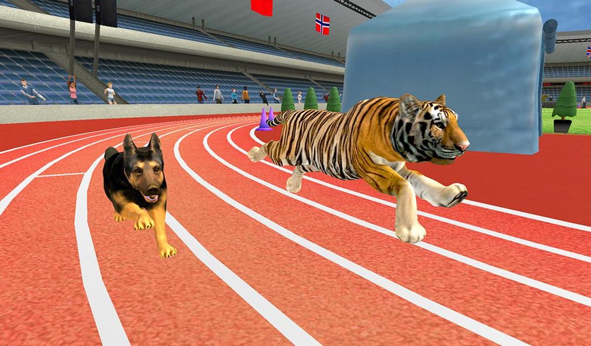 Crazy Greyhound Race Simulator Dog Racing Game for Android APK Download