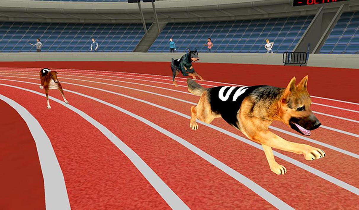 Crazy Greyhound Race Simulator Dog Racing Game for Android APK Download