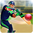 крикет T20 чемпионы кружка