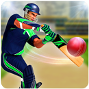 con dế T20 nhà vô địch liên đoàn APK