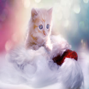 Cat Meow Sounds 8 APK